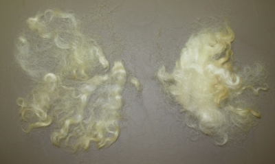 Fluffy wool fiber on left, compact wool fiber on right