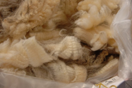Close up of locks of wool.