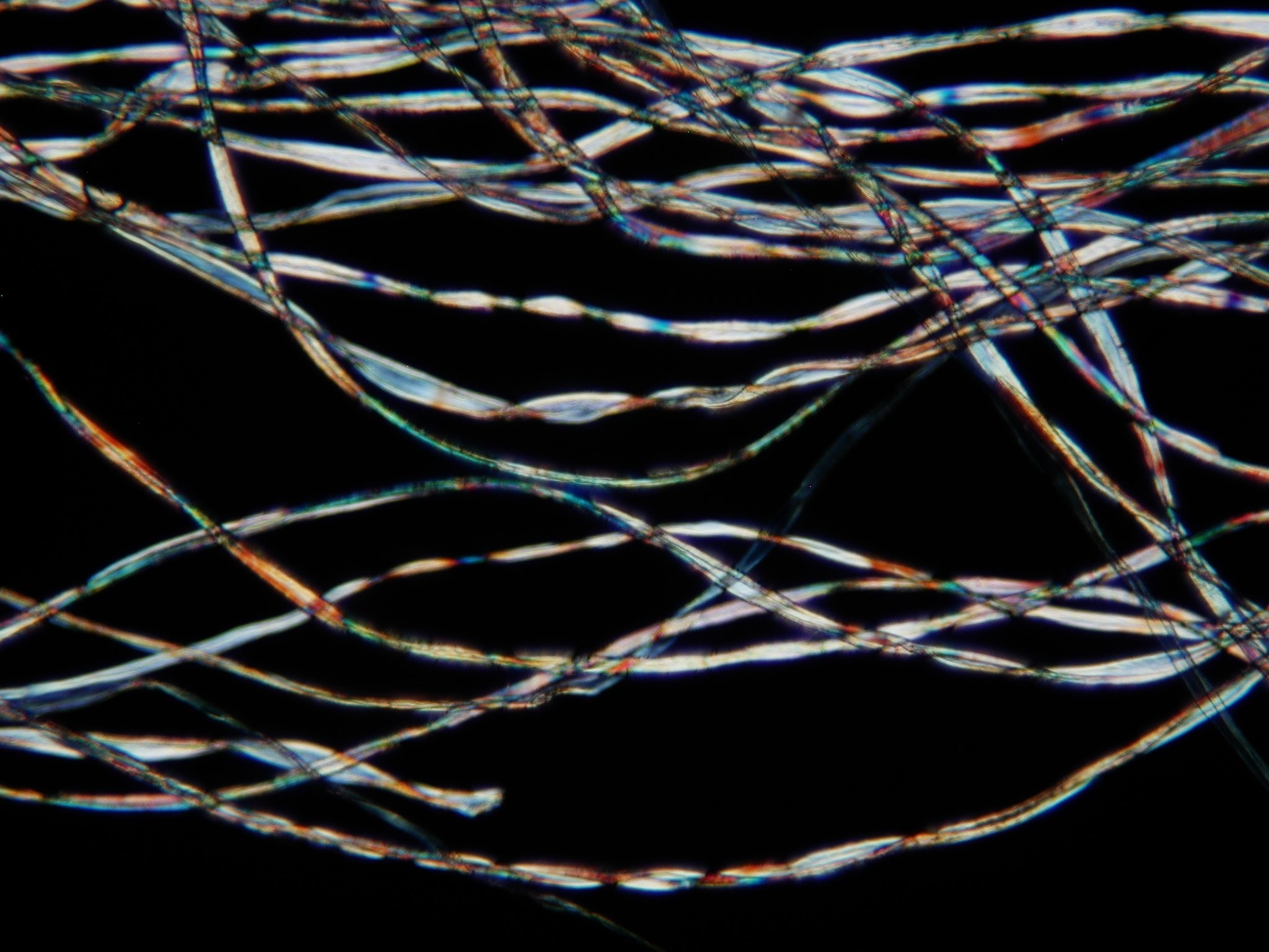 Fiber Microscopy